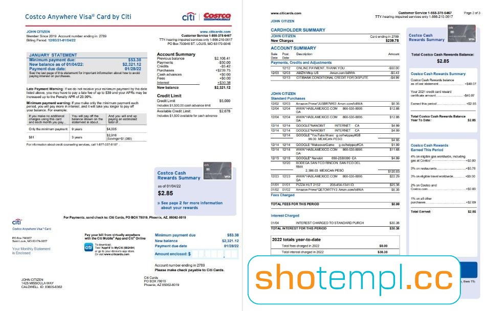 Costco Visa Statement PDF Template